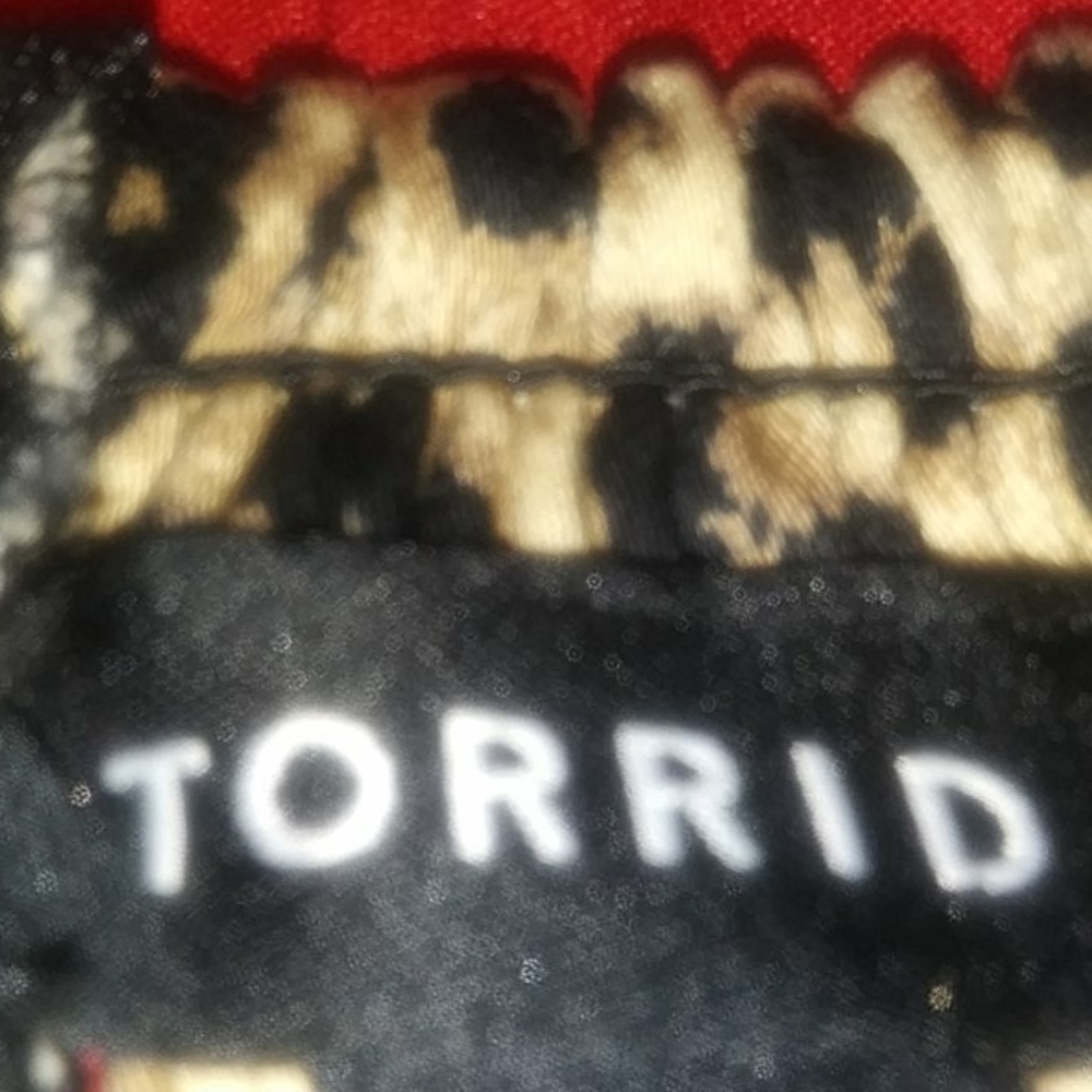 Torrid Dress - Picture 2 of 3